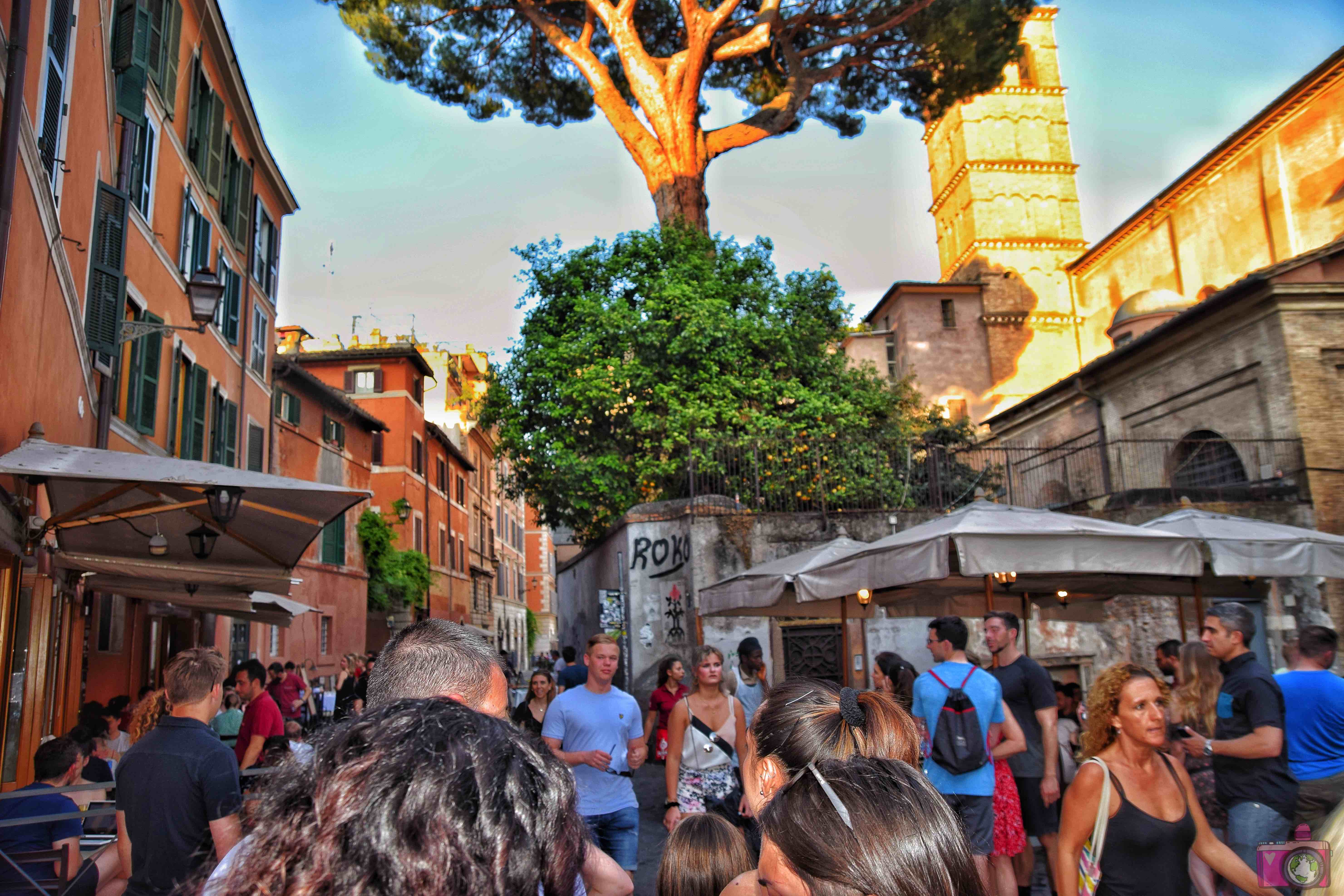 Dove mangiare a Roma Tonnarello 