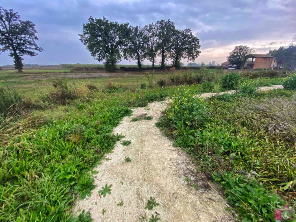 Motta dei Prati di Sant'Andrea Bagnara di Romagna