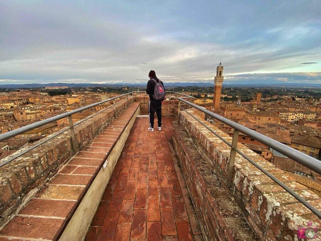 Panorama dal Facciatone