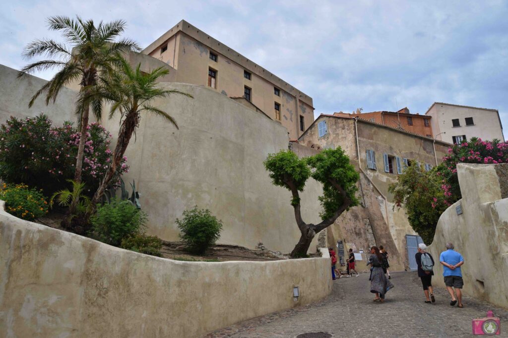 Cittadella Calvi