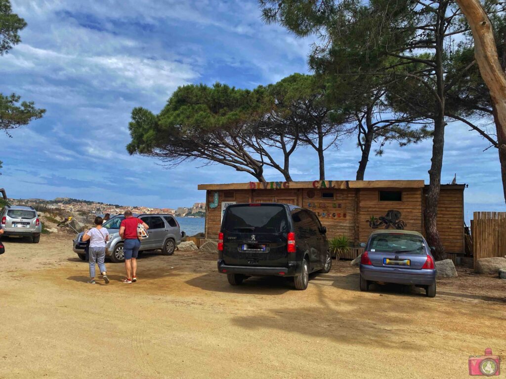 Diving Calvi a Piaghja Corsica