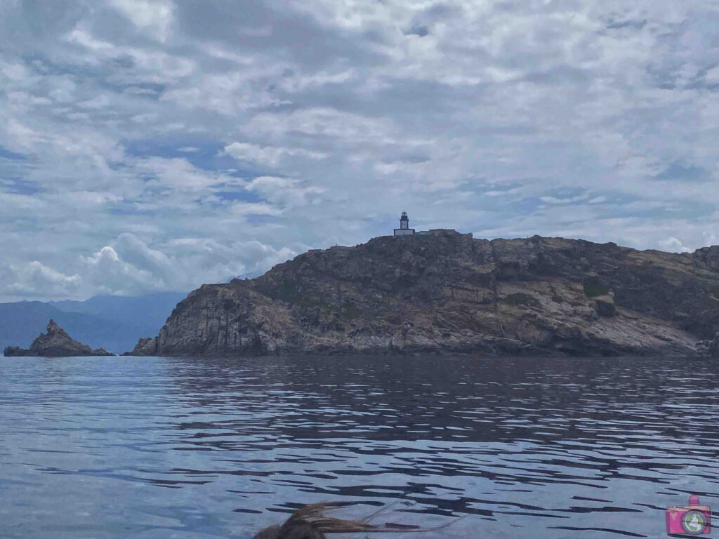Diving Calvi a Piaghja Corsica snorkeling