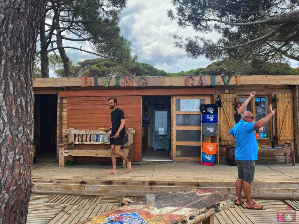 Diving Calvi a Piaghja Corsica