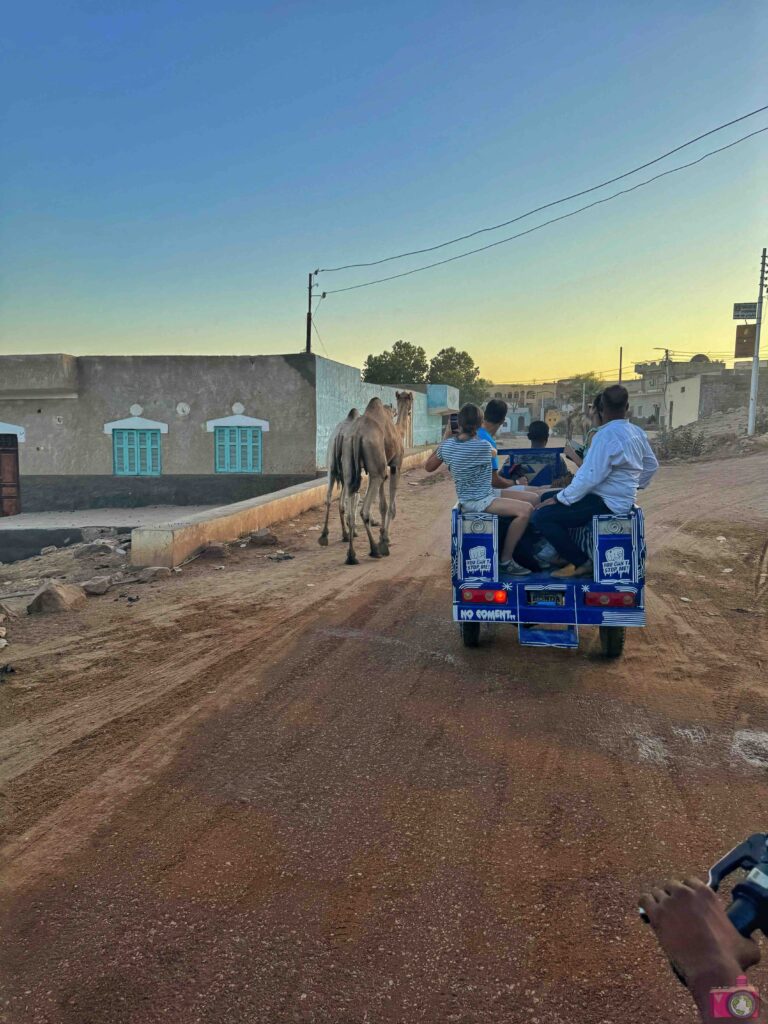 Escursione tuk tuk Villaggio Nubiano da Crociera sul Nilo